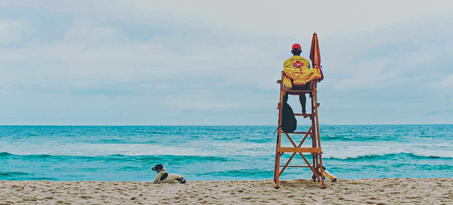 supervision_lifeguard_640x290 Deep dive into the topic of supervision