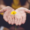 lina-trochez-ktpkyus3qjs-unsplash_496px Practicing forgiveness in vocation ministry