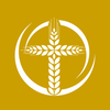 nrvc-logo-gold-550x364 Directional Statements