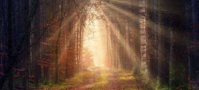 hope NRVC Membership: An Invitation to Foster Hope